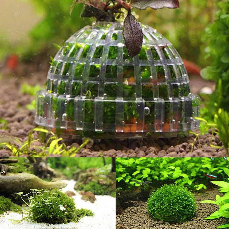 Akvaario Koriste Moss Ball Elävät Kasvit - Image 3