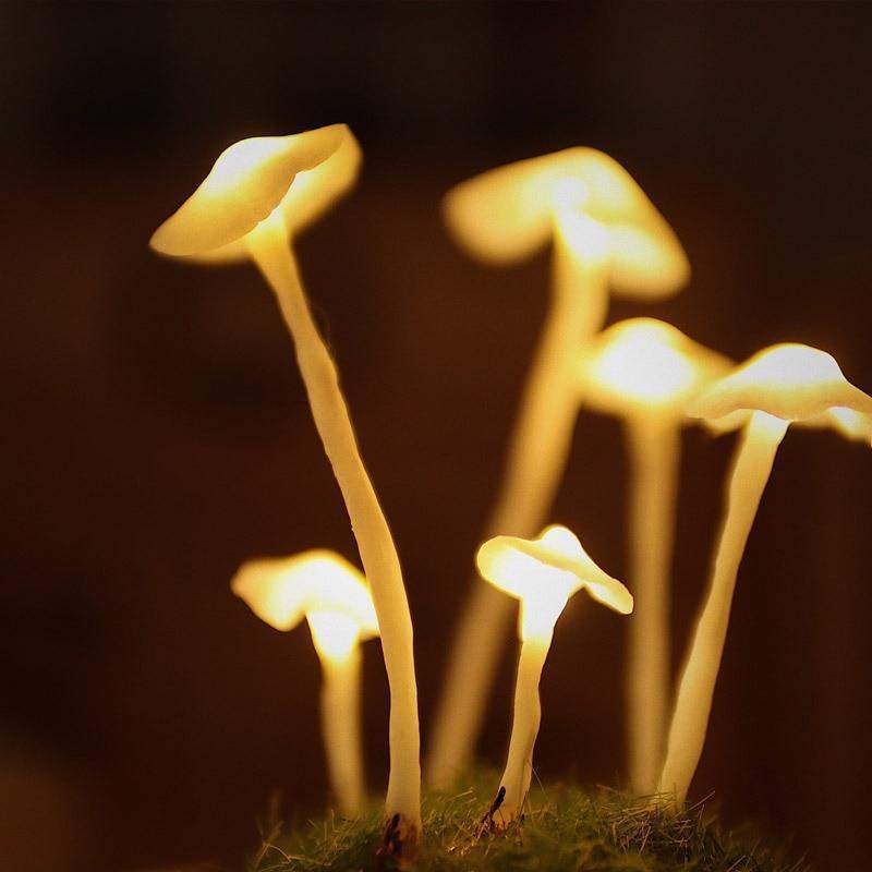 DIY LED Pöytälamppu Sieni Muotoilu Luovuus Valaistus - Image 8