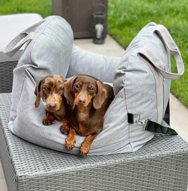 Dog Car Seat Bed with Safety Belt - Image 9