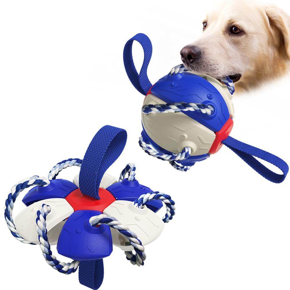 Interaktiivinen frisbee pallo koiran lelu - Image 12