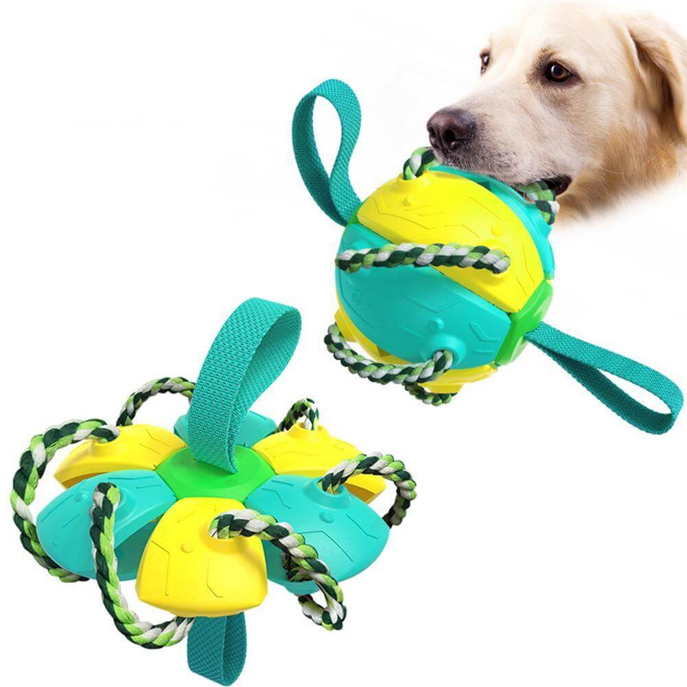 Interaktiivinen frisbee pallo koiran lelu - Image 9