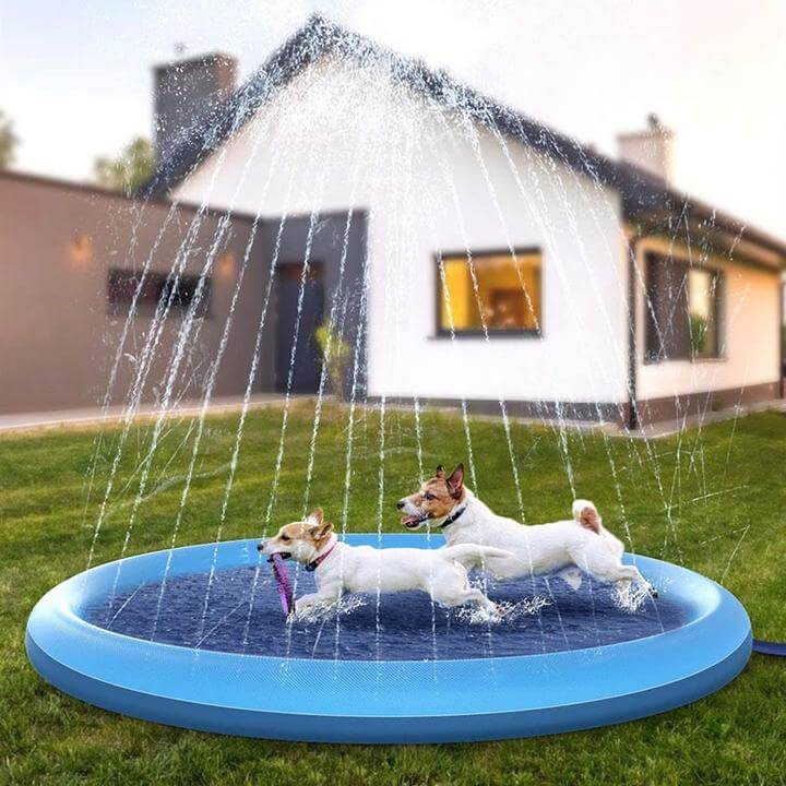 Koira Sprinkleri Pad - Image 3