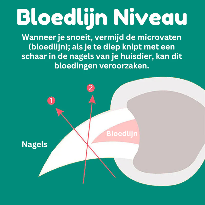 Koiran Kynsileikkuri Innovatiivinen Ergonominen Muotoilu - Image 9