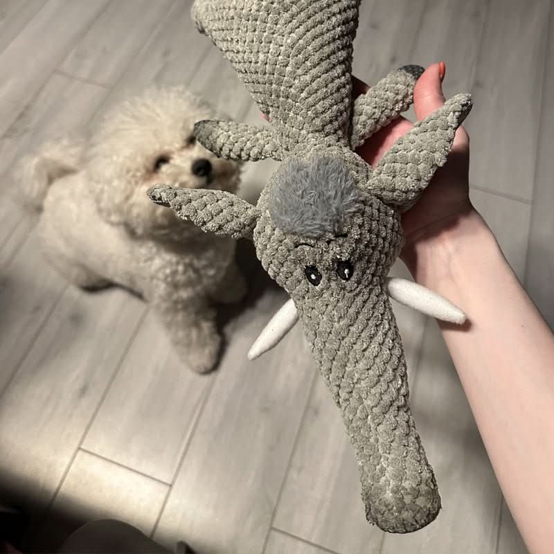 Koiran Leikkilelu Kestävä Purulelu Kaikille Koirille - Image 6