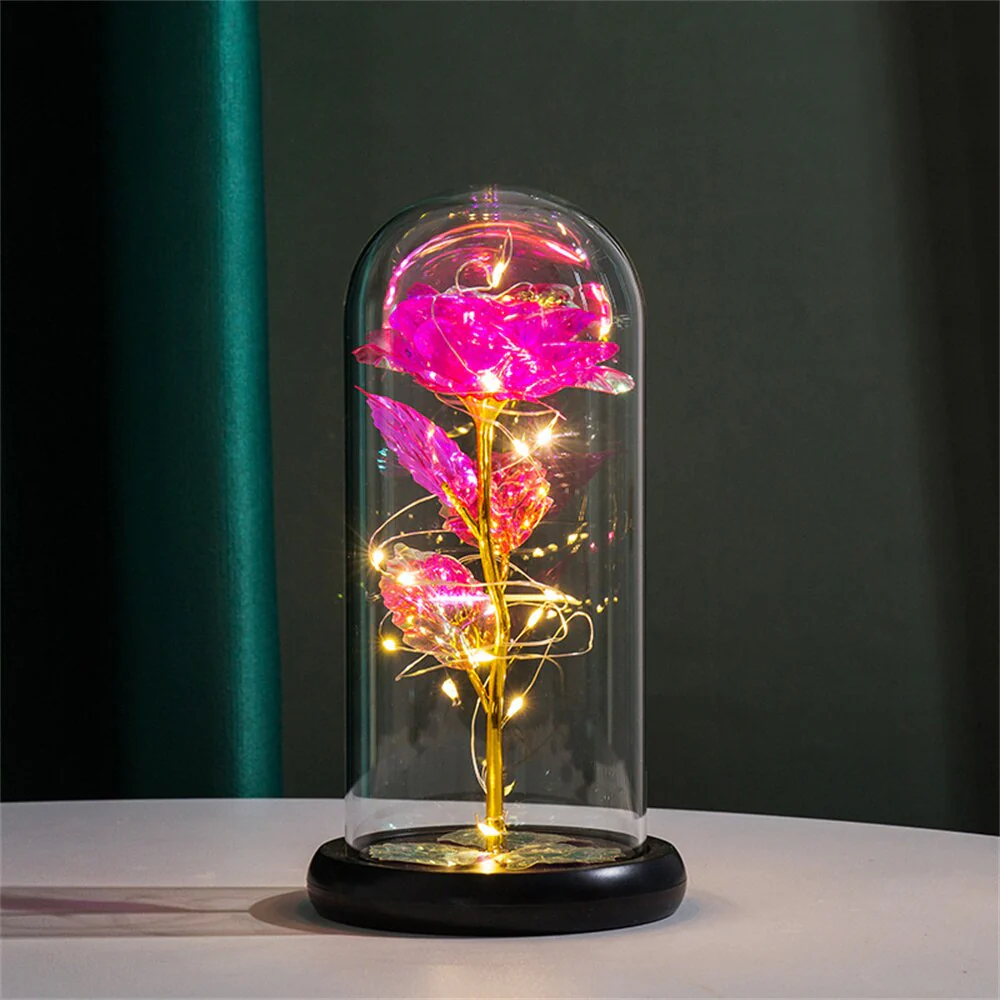 Perpetual Rose Dome Light - Image 11