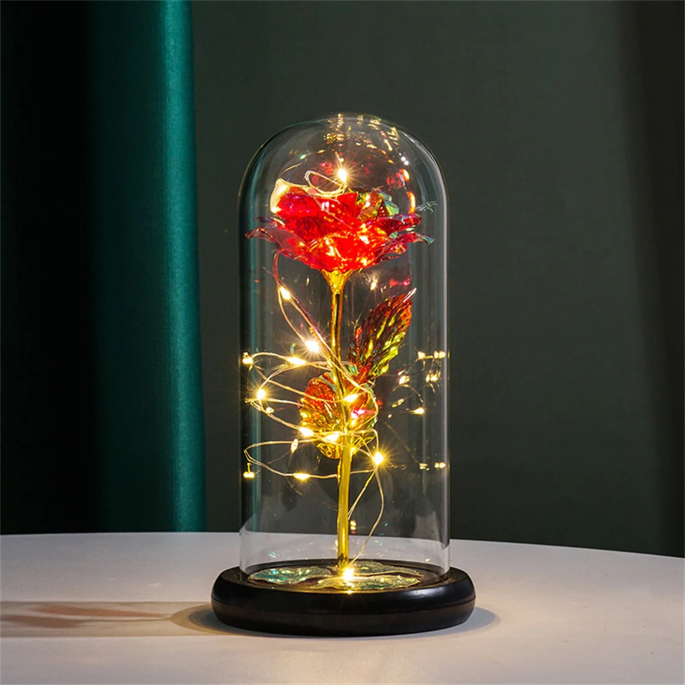 Perpetual Rose Dome Light - Image 15