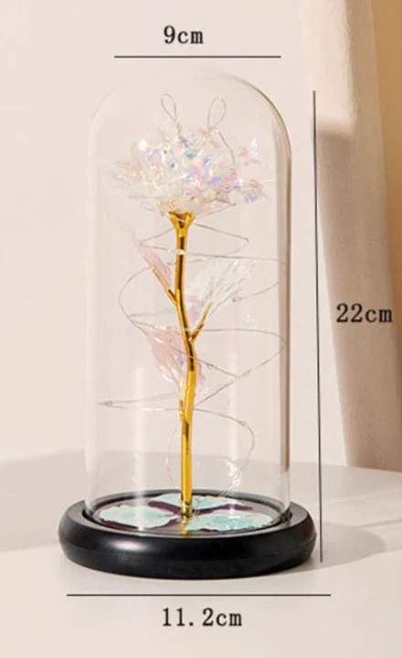 Perpetual Rose Dome Light - Image 16