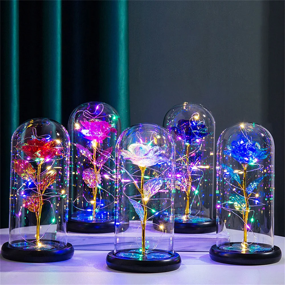 Perpetual Rose Dome Light - Image 4