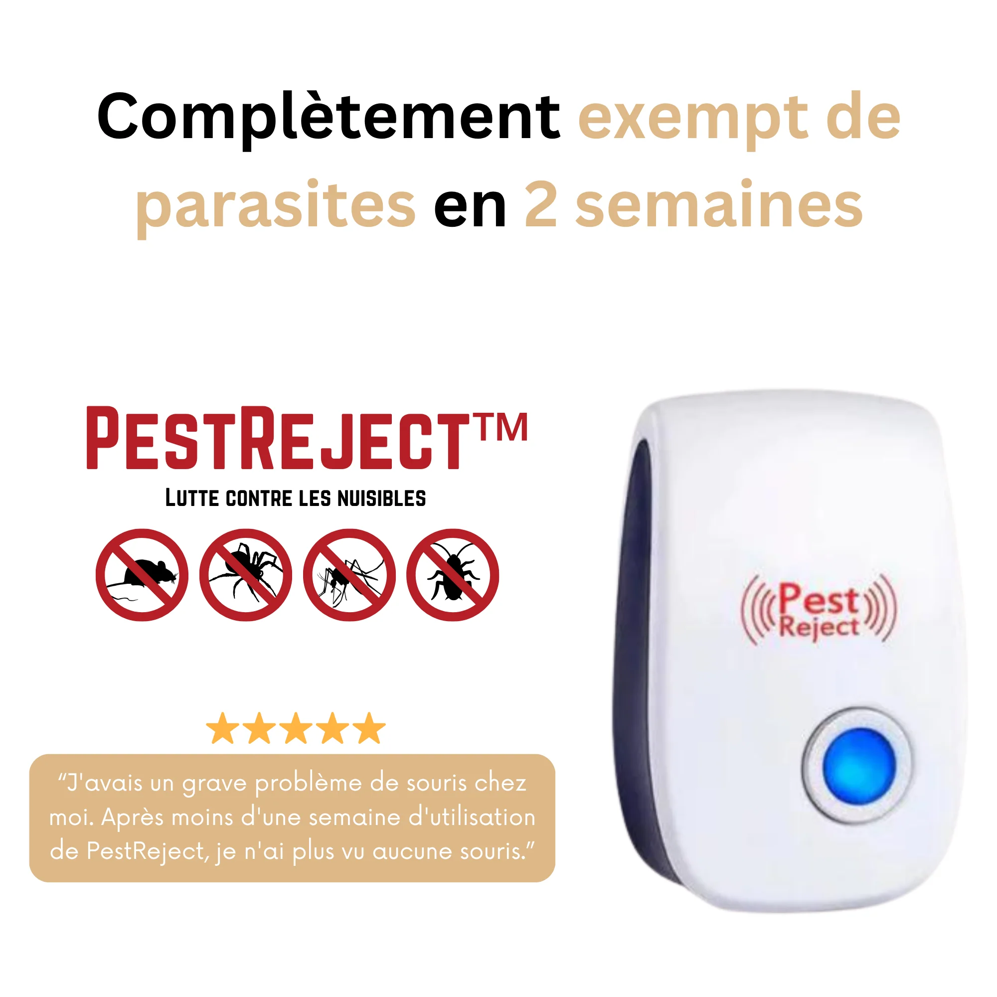 PestReject | Hyönteisten ja jyrsijöiden torjunta - Image 2