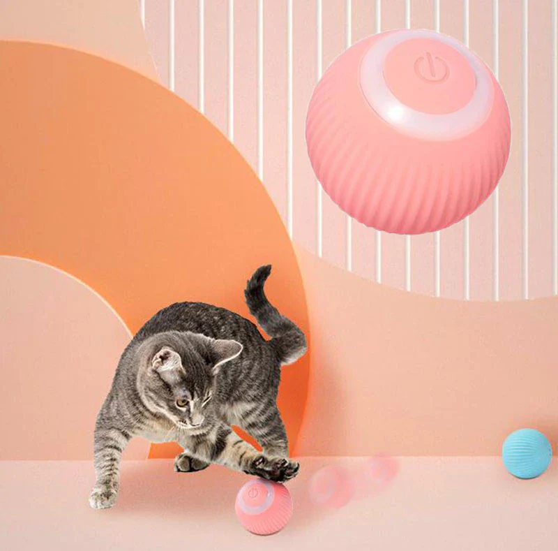 Pet Gravity Ball - Image 10