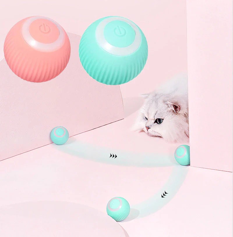 Pet Gravity Ball - Image 11