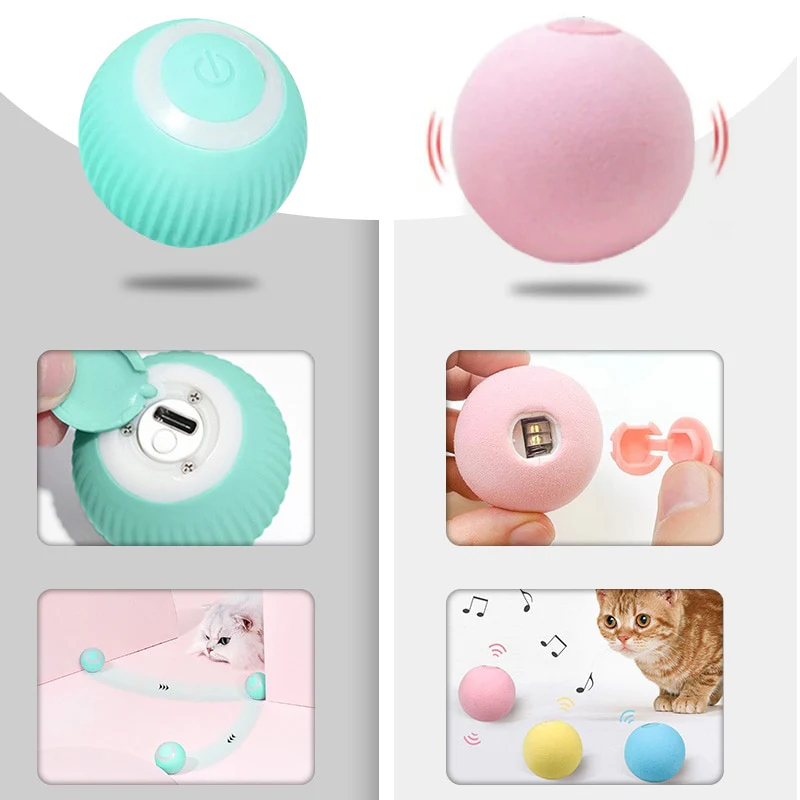 Pet Gravity Ball - Image 13