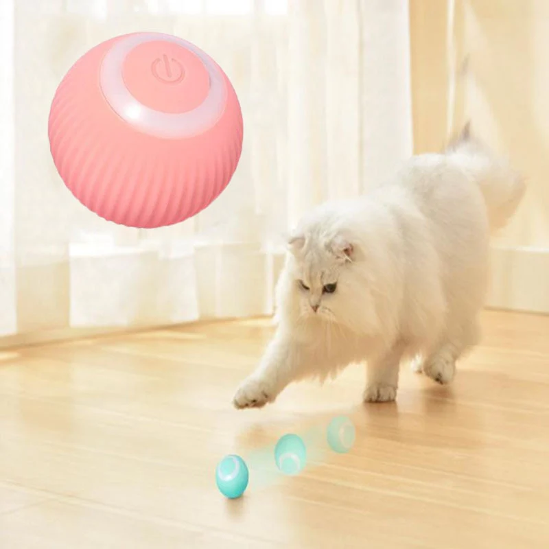 Pet Gravity Ball - Image 6
