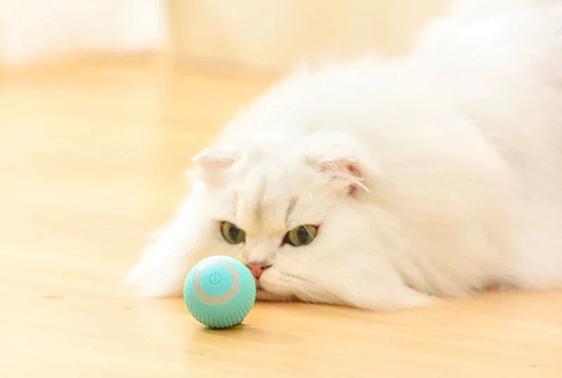 Pet Gravity Ball - Image 8