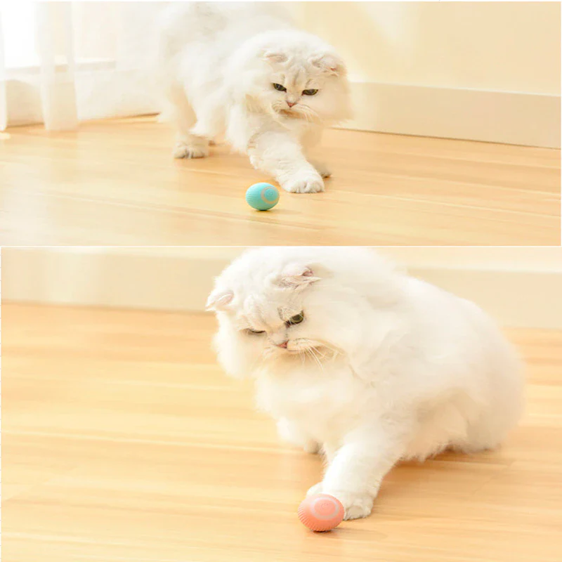 Pet Gravity Ball - Image 9