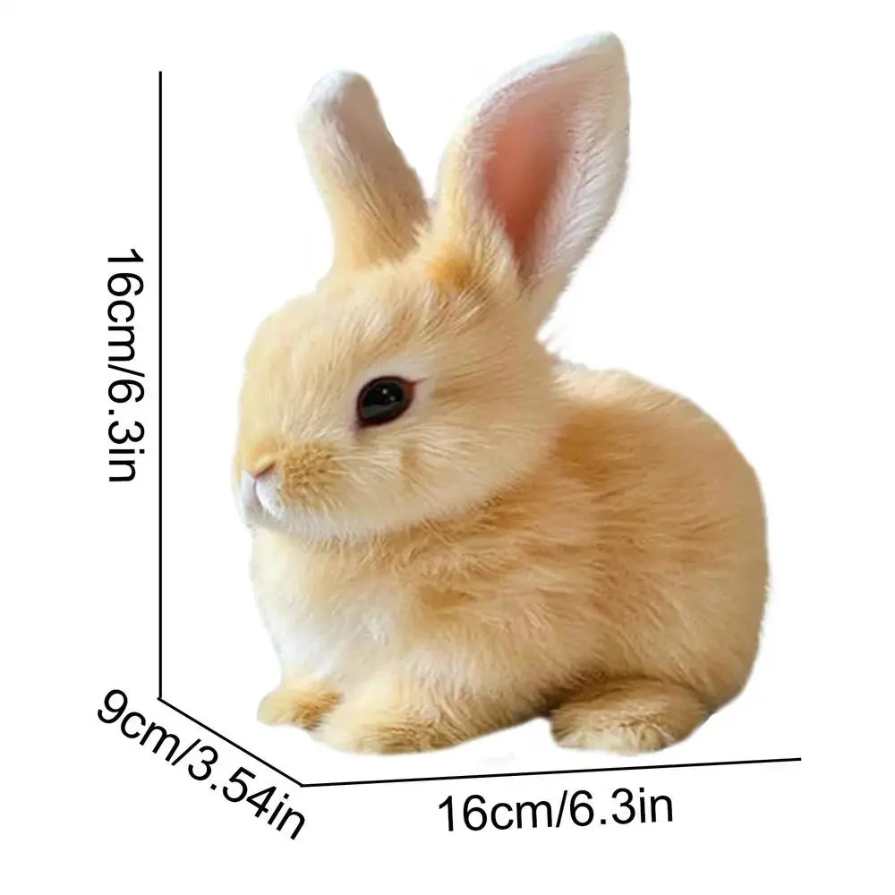 Realistinen Kanilelu Elävällä Liikkeellä - Image 3