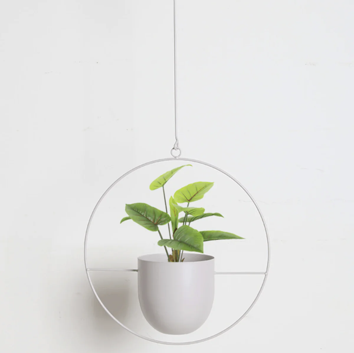 Seinäkasviripustin Minimalistinen Tyylikäs - Image 14