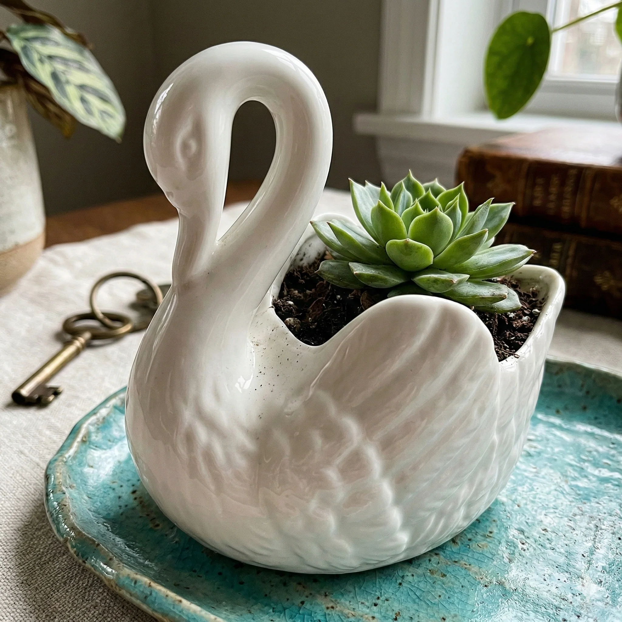 Swan Minimal Keraaminen Ruukku - Image 5