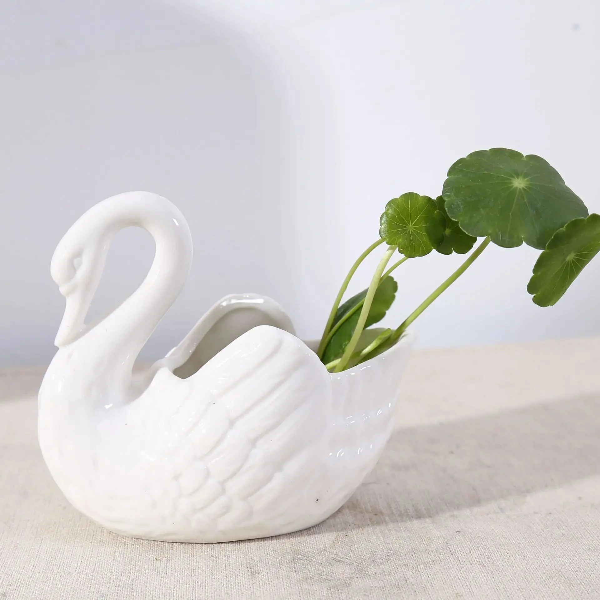 Swan Minimal Keraaminen Ruukku - Image 6